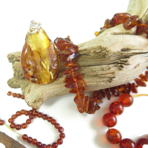 הענבר ויחודו